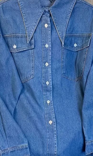 Denim Wing Collar Blouse