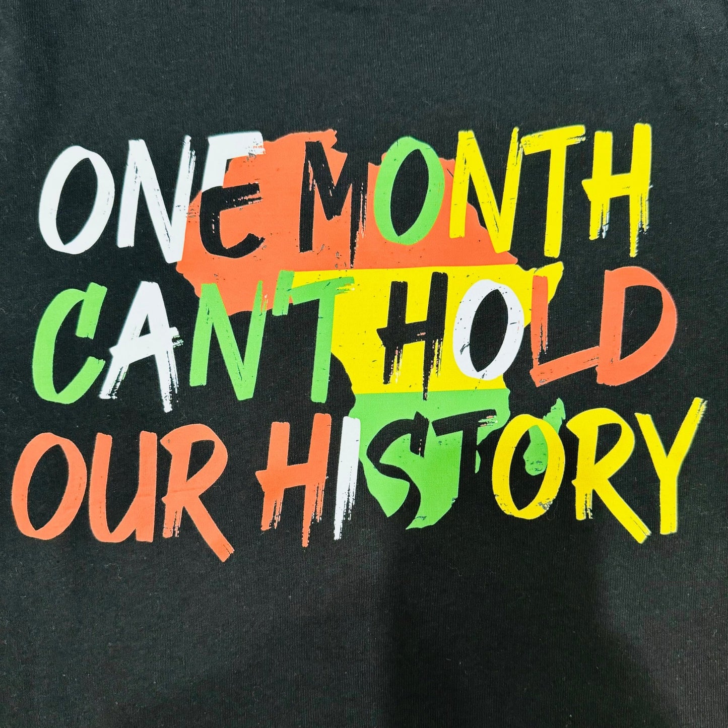 One Month Can't Hold Our History T-Shirt - House of FaSHUN by Shun Melson